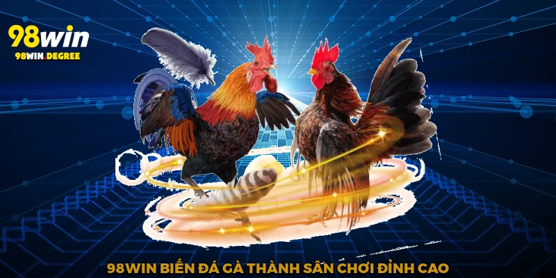 98Win biến đá gà thành sân chơi đỉnh cao