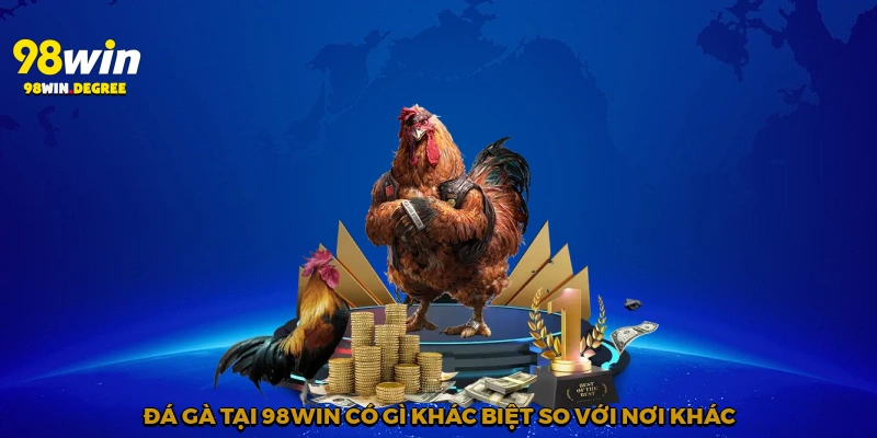 Đá gà tại 98Win có gì khác biệt so với nơi khác?