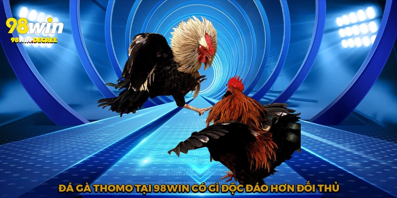 Đá gà Thomo tại 98Win có gì độc đáo hơn đối thủ?