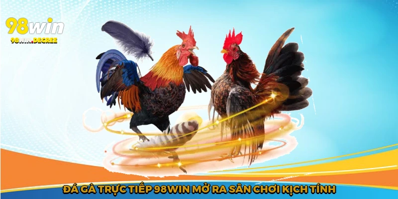 Đá gà trực tiếp 98Win mở ra sân chơi kịch tính