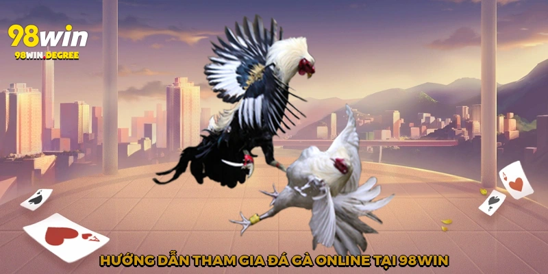 Hướng dẫn tham gia đá gà online tại 98Win