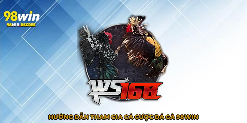 Hướng dẫn tham gia cá cược đá gà 98Win