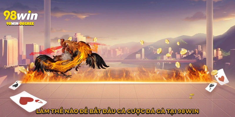 Làm thế nào để bắt đầu cá cược đá gà tại 98Win?